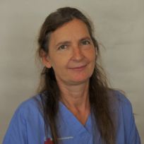 Dr. Iris Gregorius